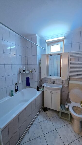 Drumul Taberei- Brancusi